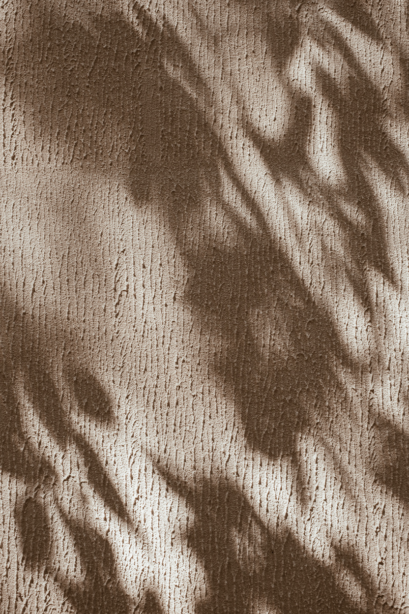 Shadow of Leaves on Beige Wall